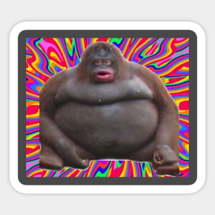 Monky Sticker